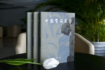 藏石于馆，传美于众：《中国赏石美学》赠书图书馆